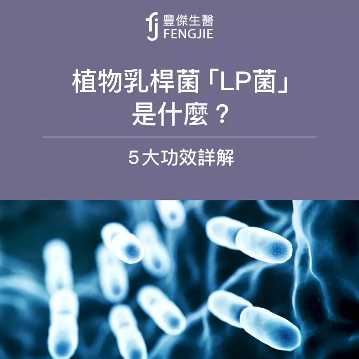 植物乳桿菌「LP菌」是什麼？5大功效專家詳解