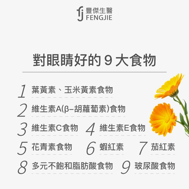 對眼睛好的9大食物：葉黃素、玉米黃素食物、維生素A（β-胡蘿蔔素）食物、維生素C食物、維生素E食物、花青素食物、蝦紅素、茄紅素、多元不飽和脂肪酸食物、玻尿酸食物