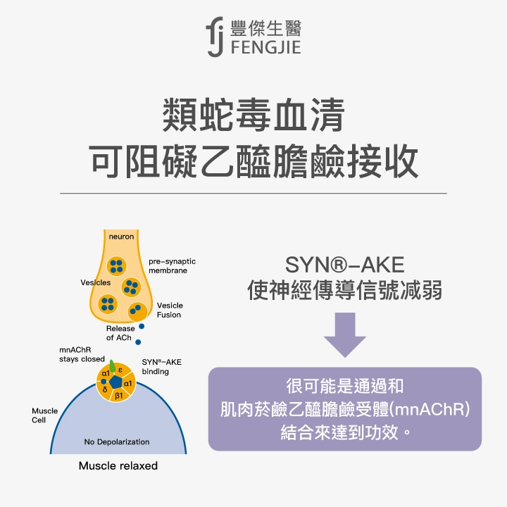 類蛇毒血清 可阻礙乙醯膽鹼接收