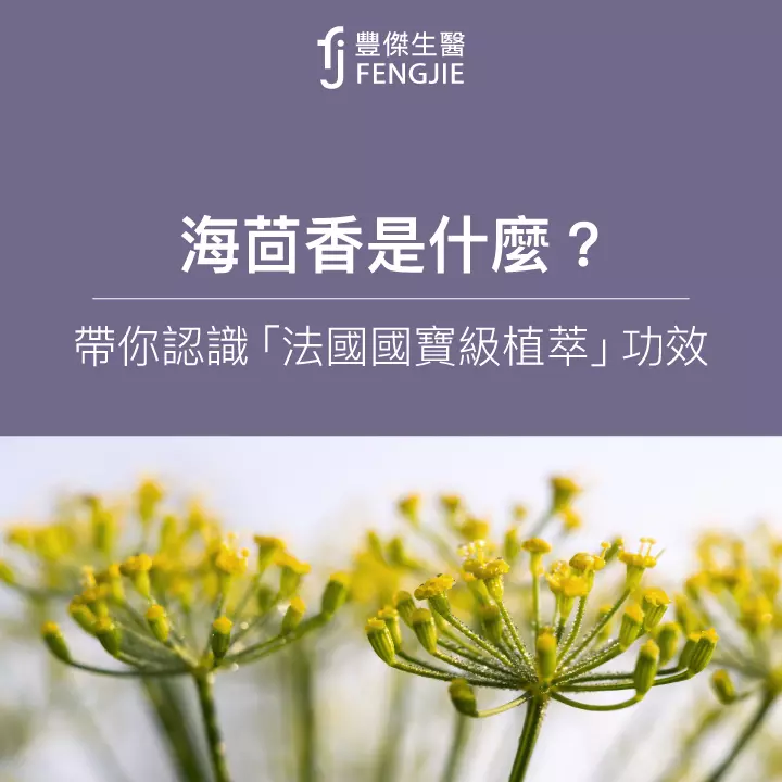 海茴香是什麼？3大功效曝！專家：乾肌、皮膚有狀況必用！