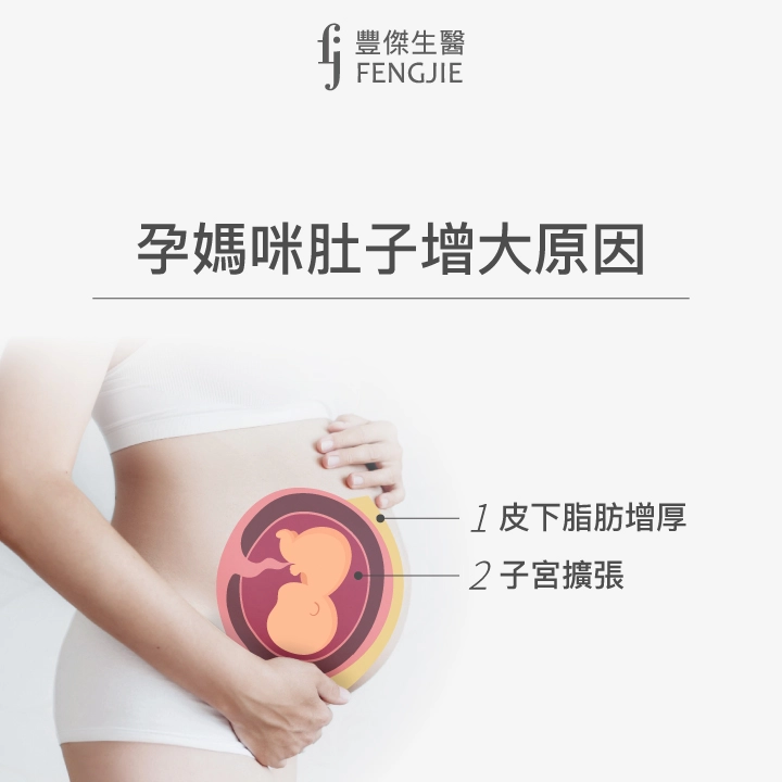 孕媽咪肚子增大原因：皮下脂肪增厚、子宮擴張