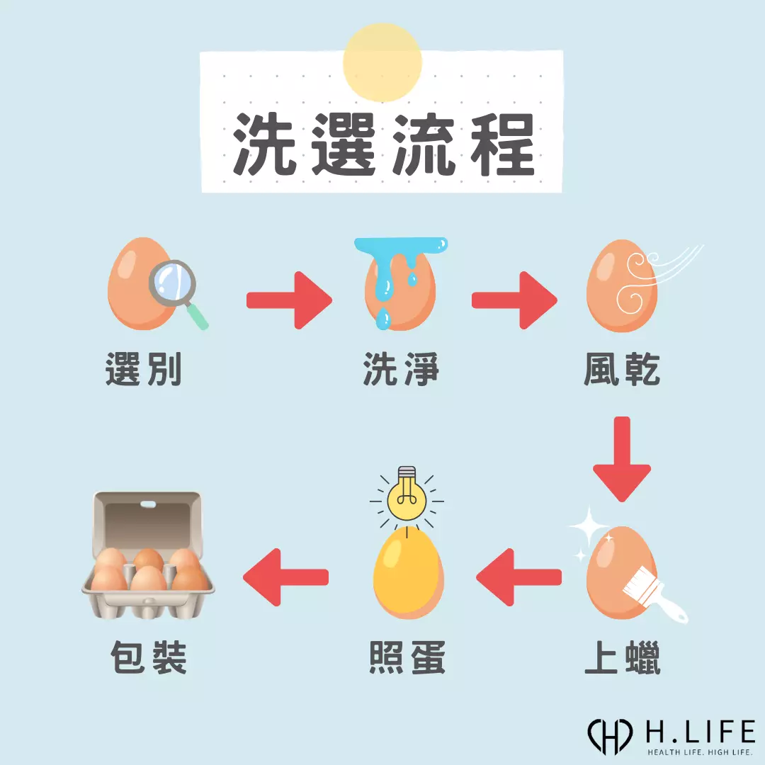 洗選蛋的洗選步驟 