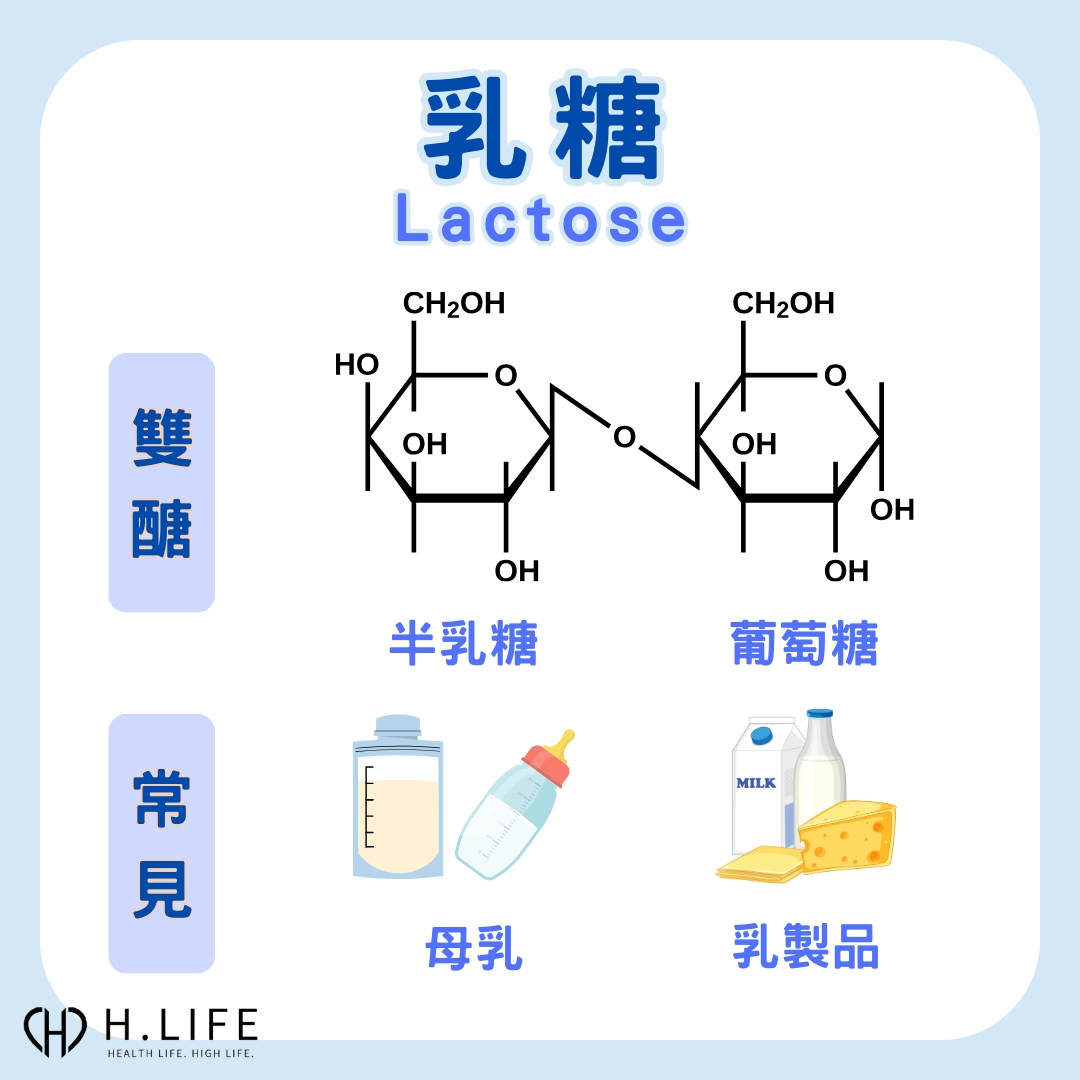 乳糖是什麼