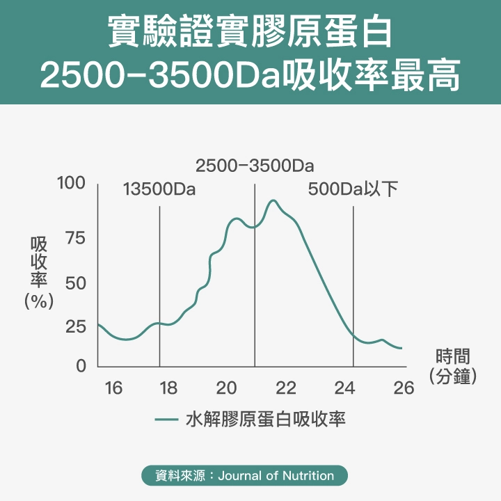 實驗證實膠原蛋白2500~3500Da吸收率最高