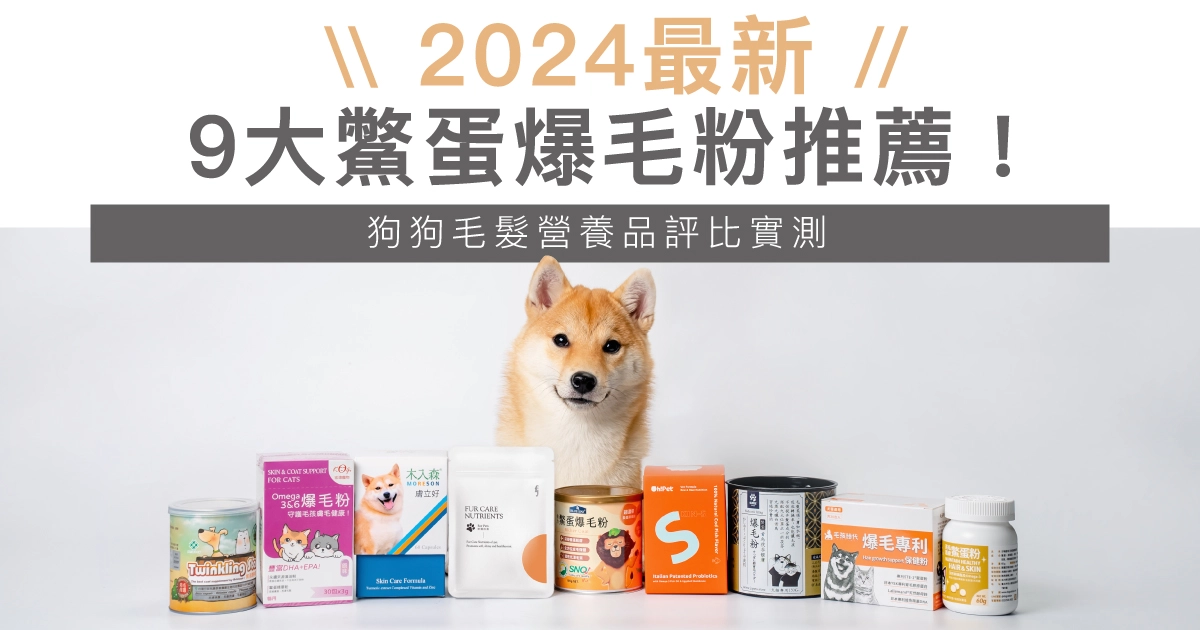 【2024最完整】9大鱉蛋爆毛粉推薦，狗狗毛髮營養品評比實測！