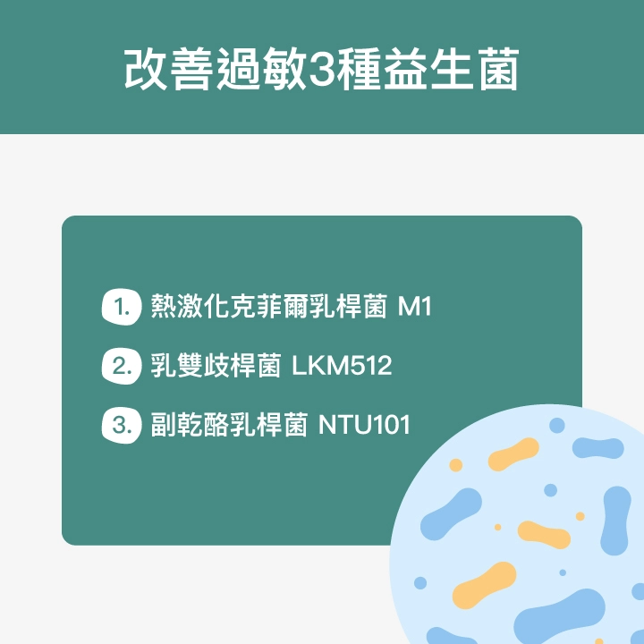 改善過敏3種益生菌：熱激化克菲爾乳桿菌M1、乳雙歧桿菌LKM512、副乾酪乳桿菌NTU101