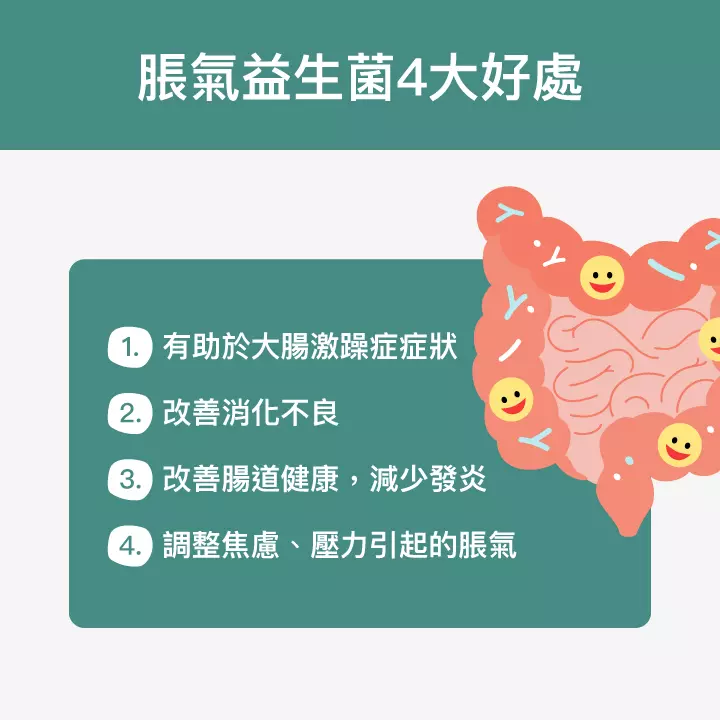 脹氣益生菌4大好處：有助於大腸激躁症症狀、改善消化不良、改善腸道健康，減少發炎、調整焦慮、壓力引起的脹氣