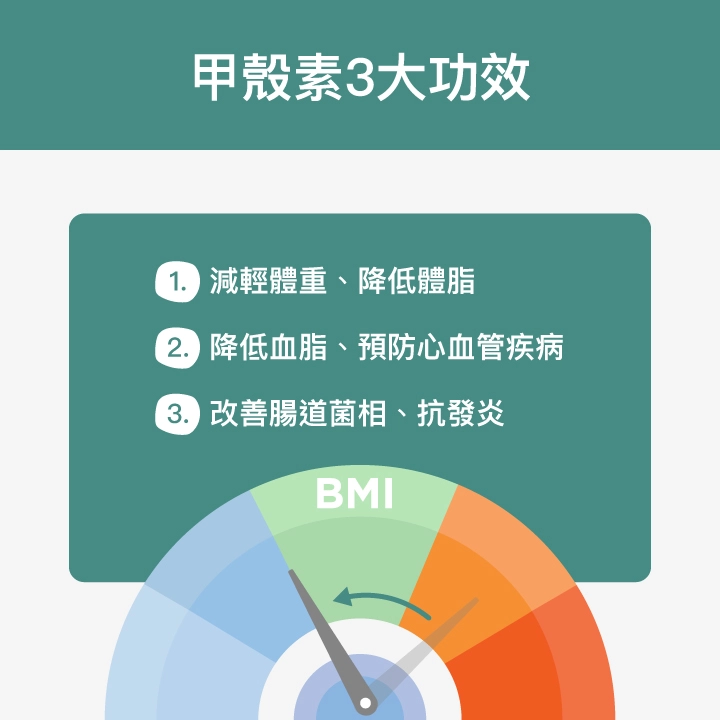 甲殼素3大功效：減輕體重、降低體脂、降低血脂、預防心血管疾病、改善腸道菌相、抗發炎