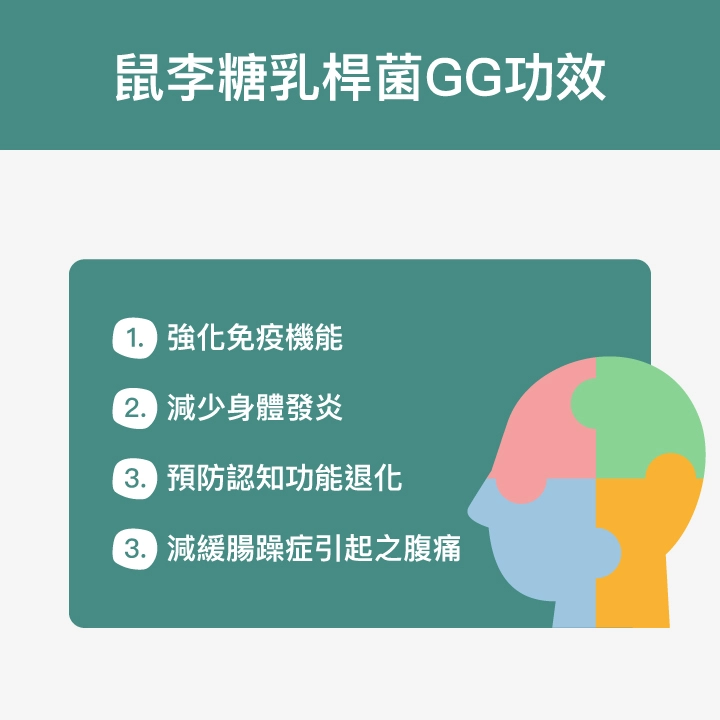 鼠李糖乳桿菌GG功效：強化免疫機能、減少身體發炎、預防認知功能退化、減緩腸躁症引起之腹痛