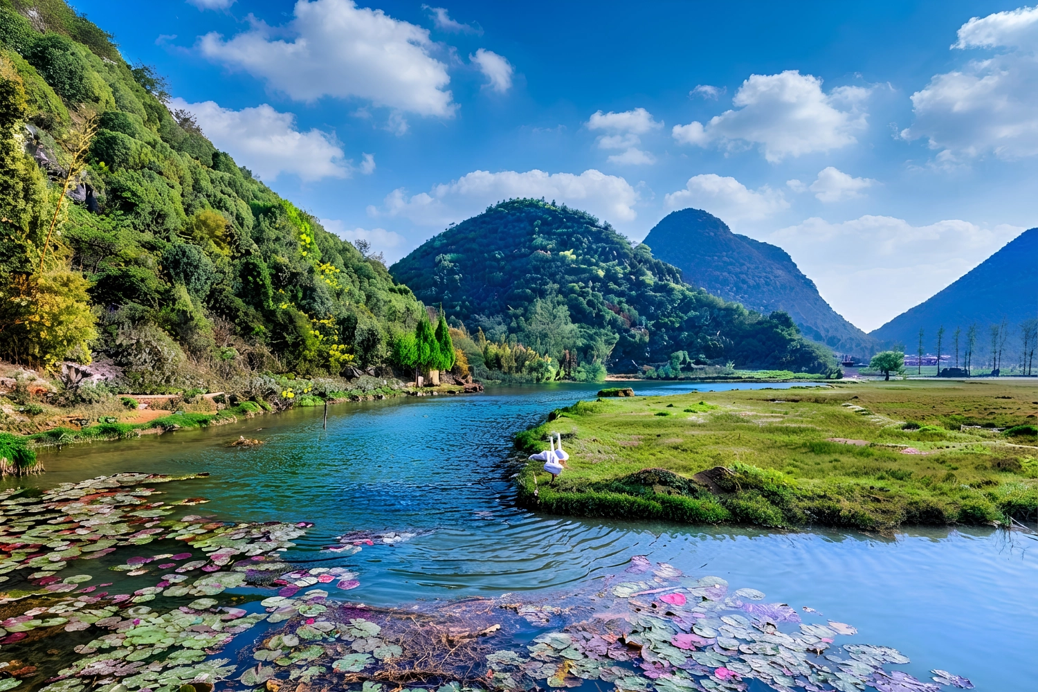 天鵝湖