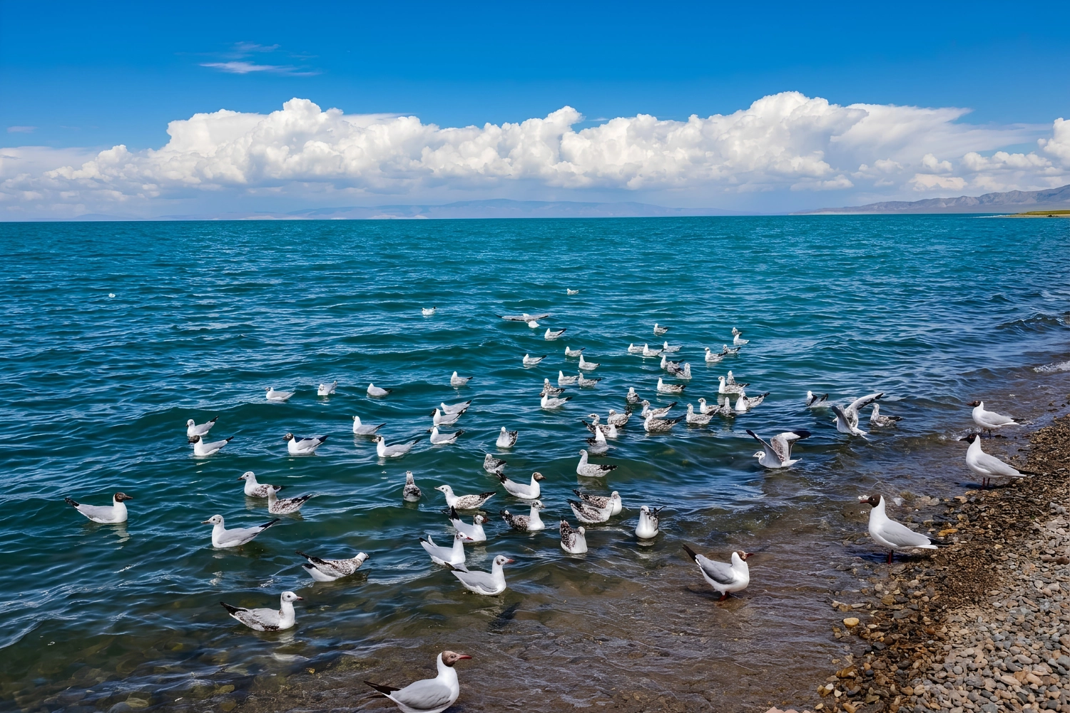 青海湖