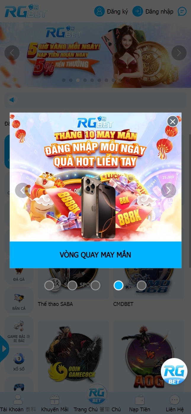 Giao diện nền tảng Rgbet