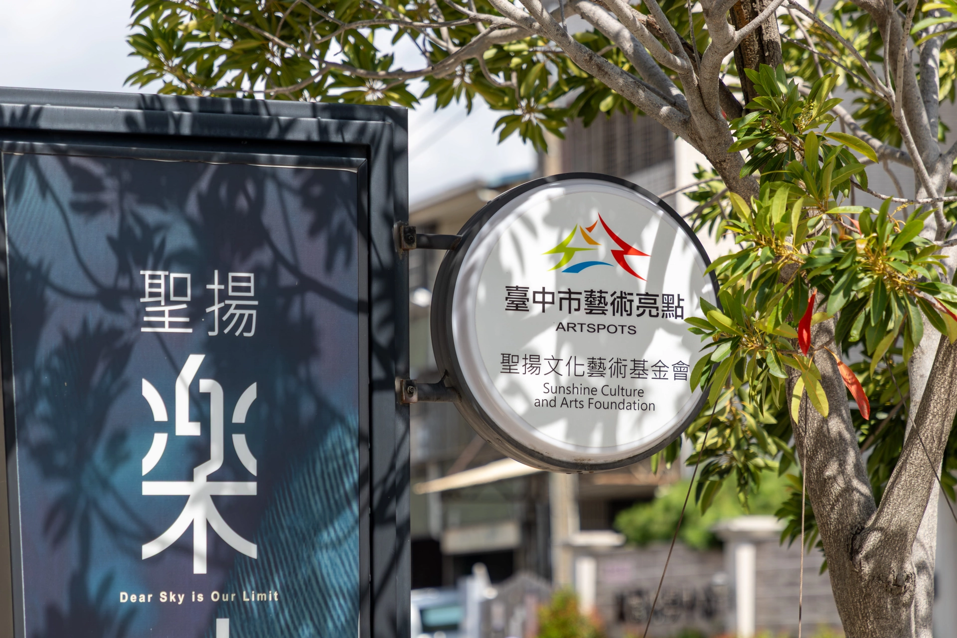 聖揚文化藝術基金會 藝術亮點